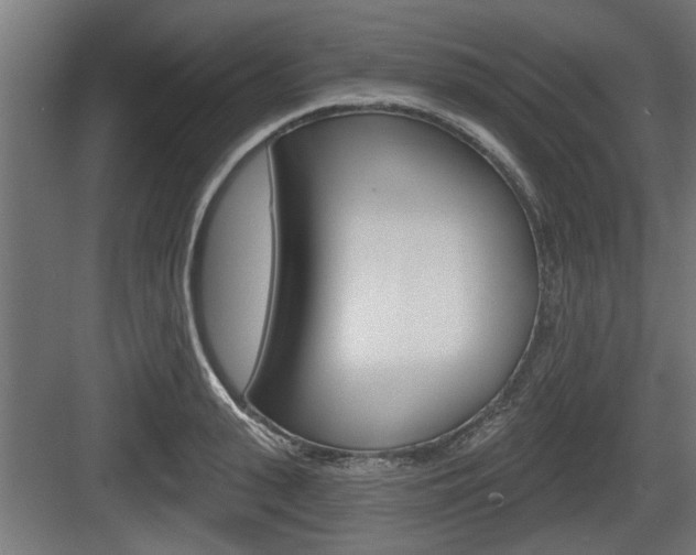 X0000083610943200702120720