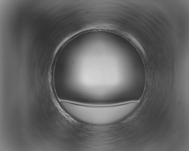 X0000083610944200702120720