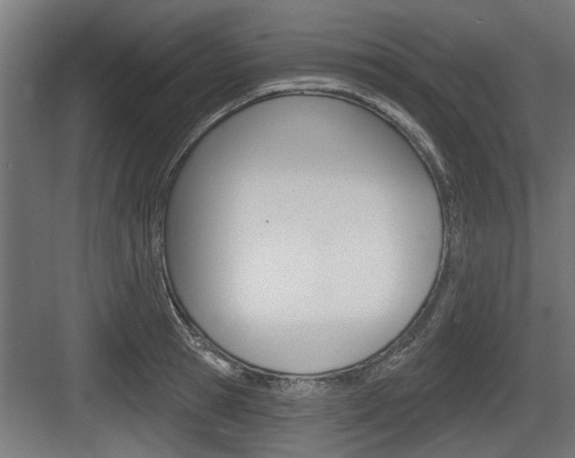X0000083610945200702120720