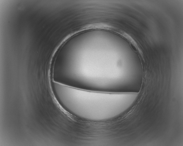 X0000083610947200702120720