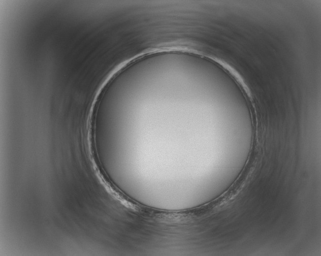 X0000083610949200702120720