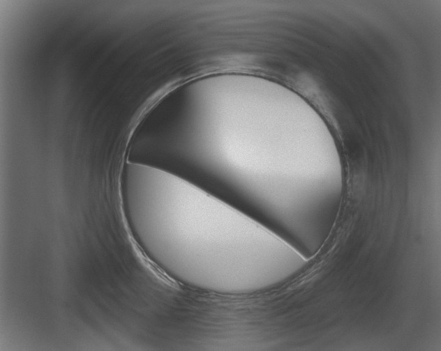 X0000083610954200702120720