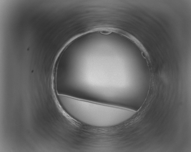 X0000083610955200702120720