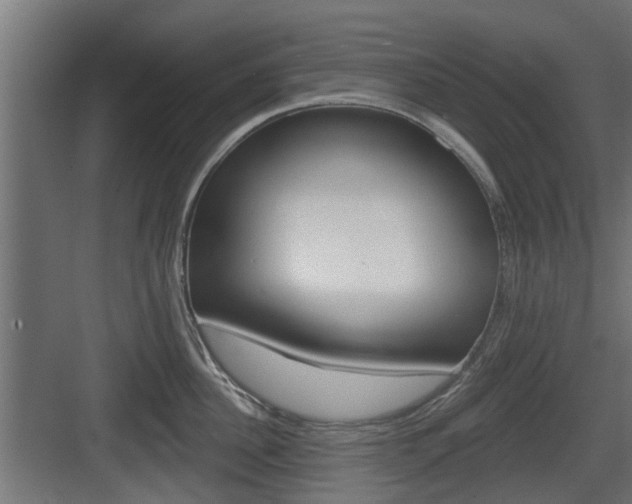 X0000083610956200702120720