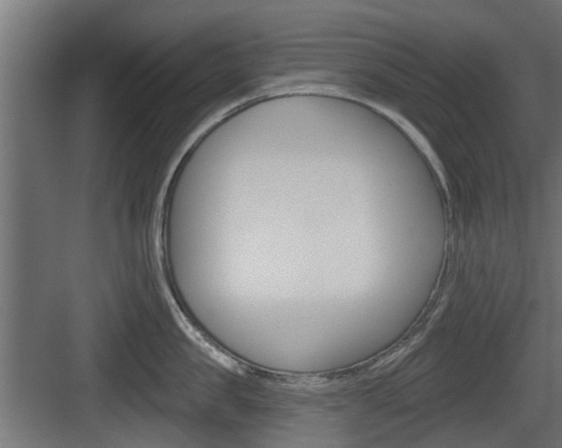 X0000083610957200702120720