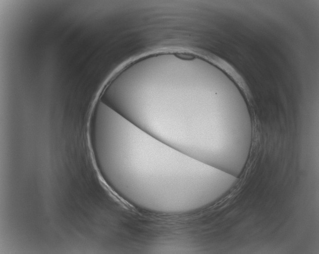 X0000083610958200702120720