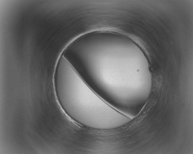 X0000083610959200702120720