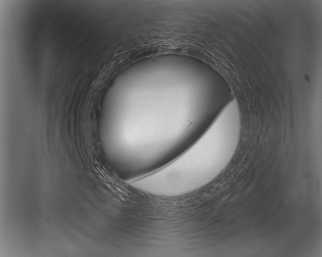 X0000083610961200702120719