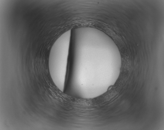 X0000083610962200702120719