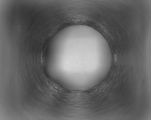 X0000083610963200702120719
