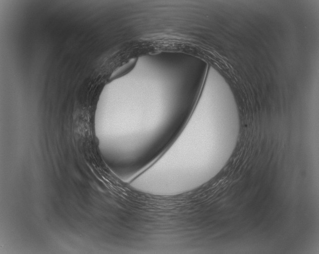 X0000083610964200702120719