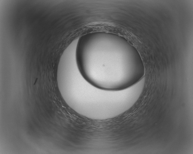 X0000083610965200702120719