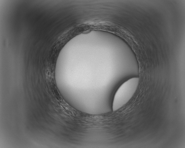 X0000083610966200702120719