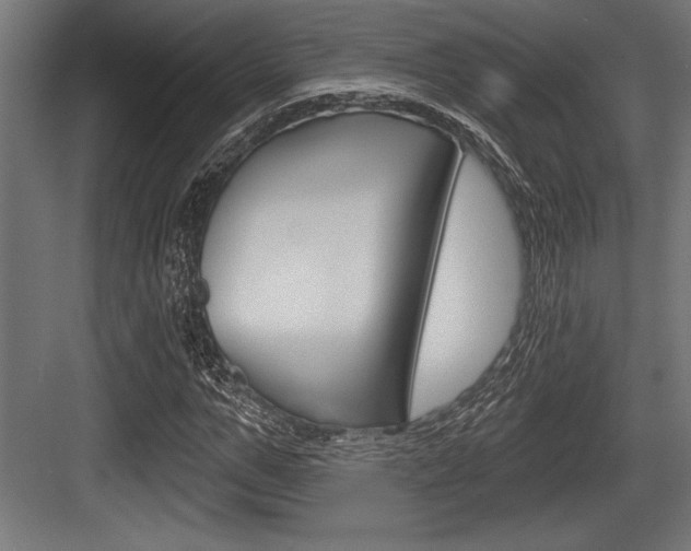 X0000083610967200702120719
