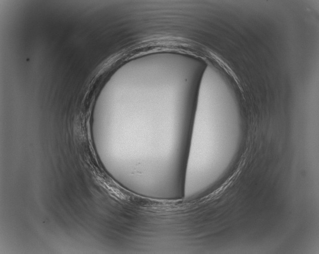 X0000083610970200702120719