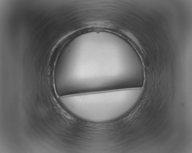 X0000083610971200702120719