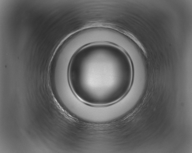X0000083610972200702120719