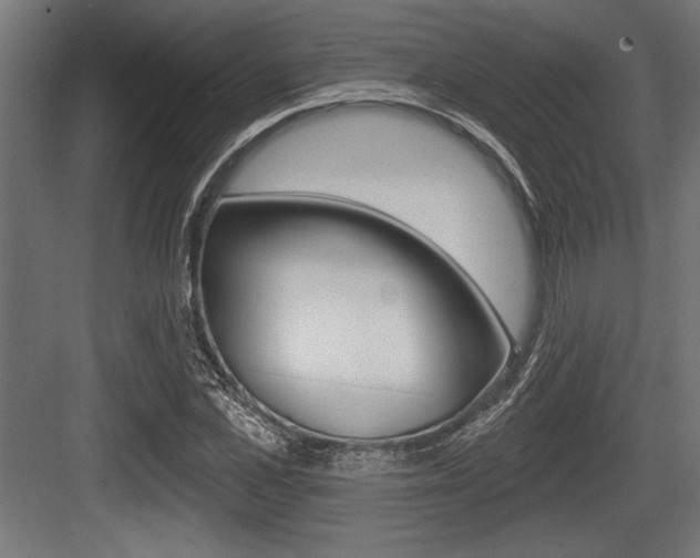 X0000083610973200702120719
