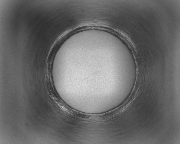X0000083610974200702120719