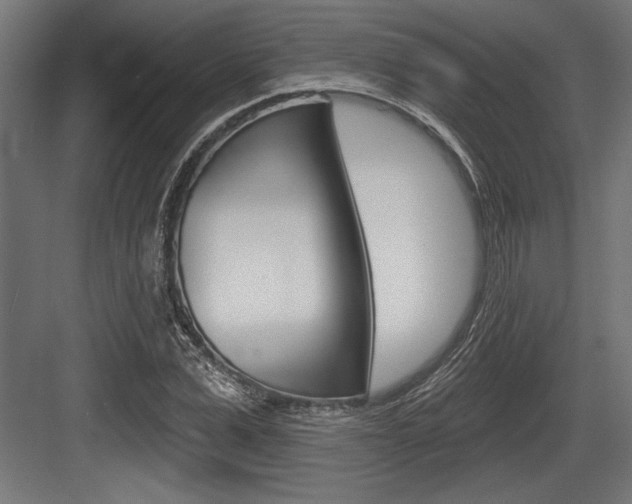 X0000083610975200702120719