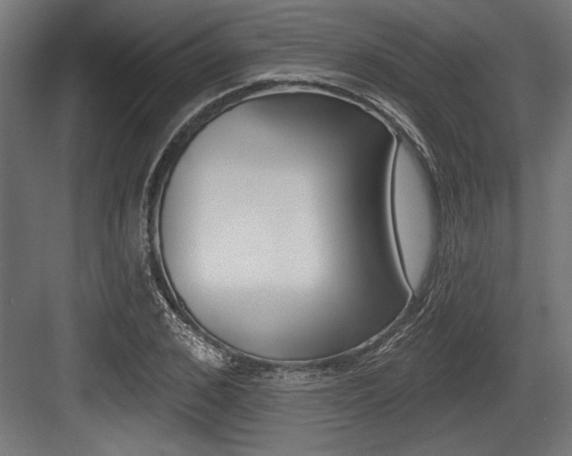 X0000083610976200702120719