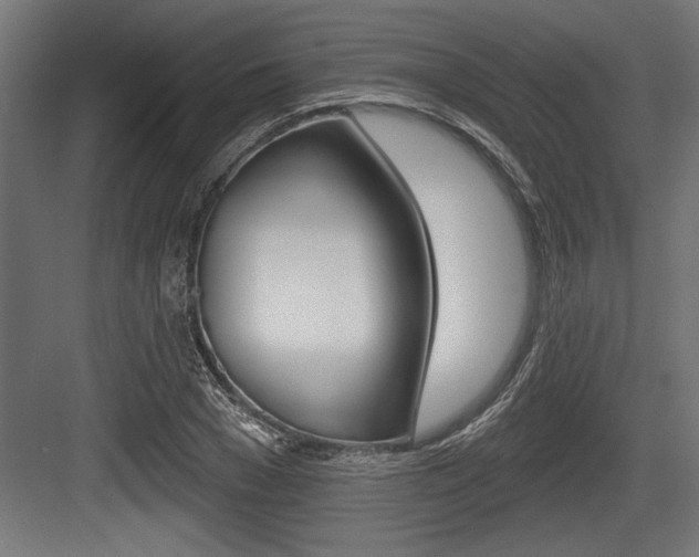 X0000083610977200702120719