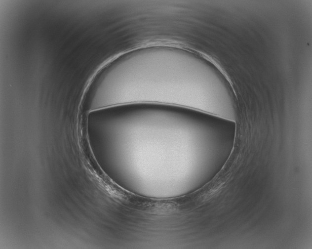 X0000083610979200702120719