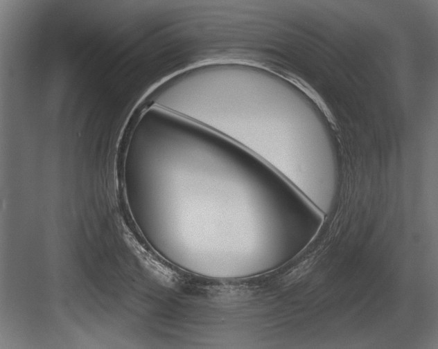 X0000083610980200702120719