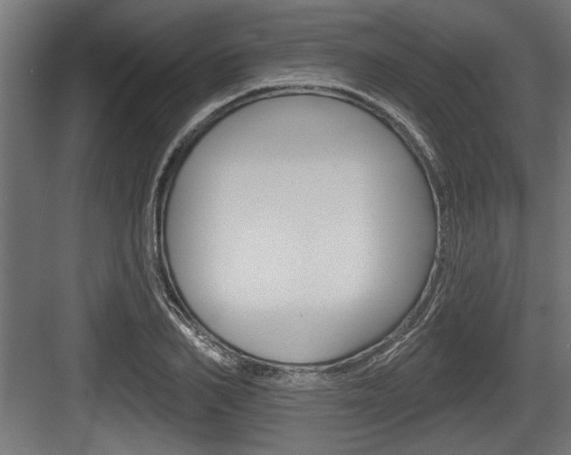 X0000083610982200702120719
