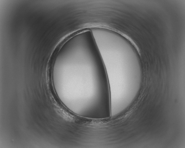X0000083610983200702120719