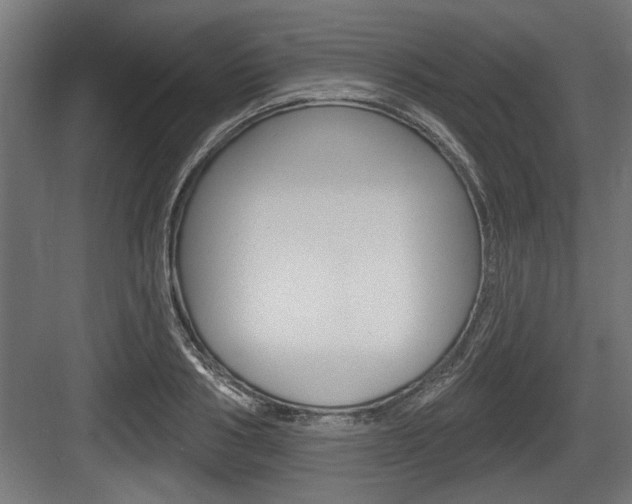 X0000083610986200702120719