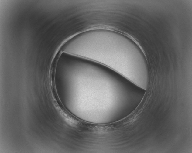 X0000083610987200702120719