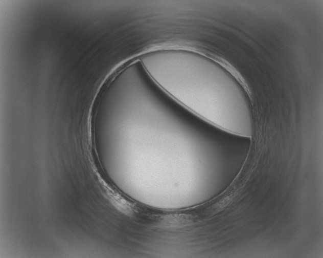 X0000083610988200702120719