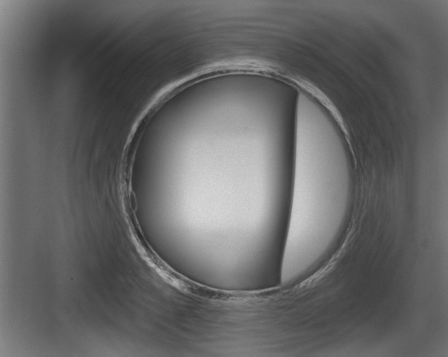 X0000083610989200702120719