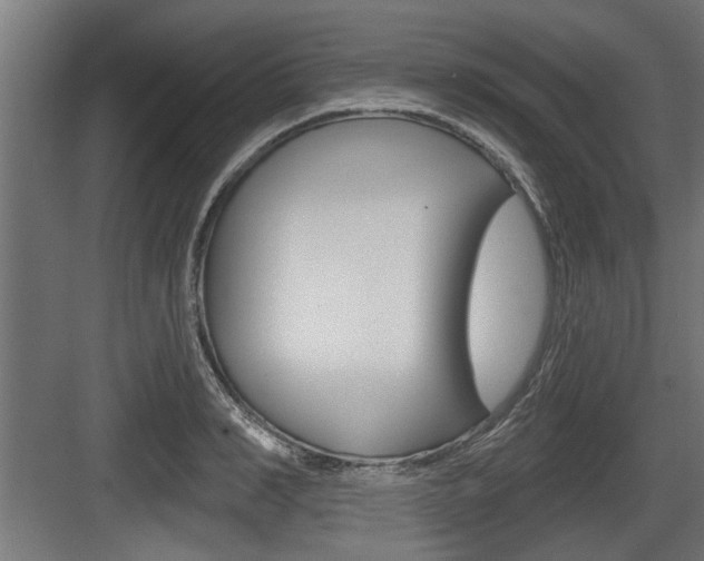 X0000083610990200702120719