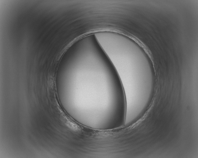 X0000083610993200702120719