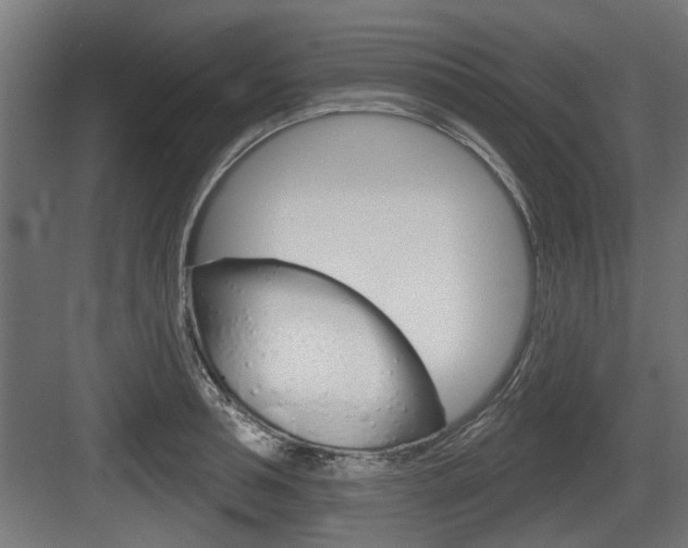 X0000083610994200702120719