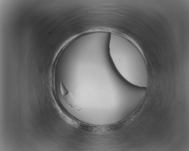 X0000083611003200702120719