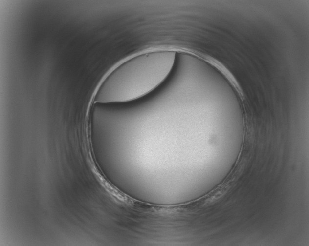 X0000083611004200702120719