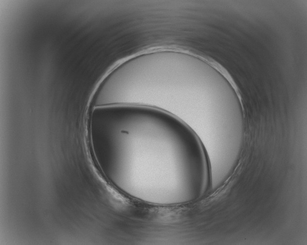 X0000083611005200702120719
