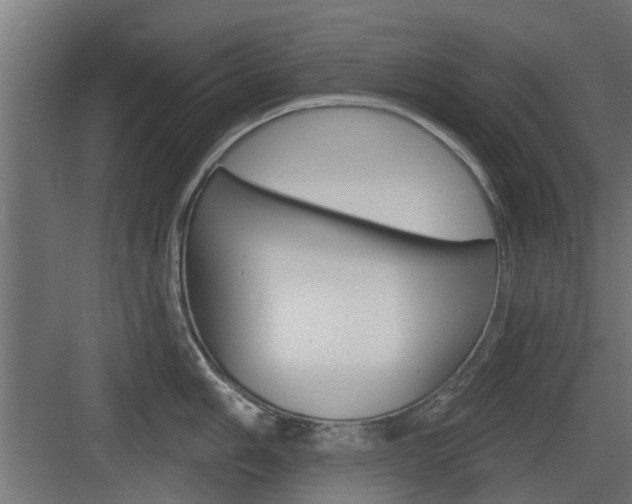 X0000083611006200702120719