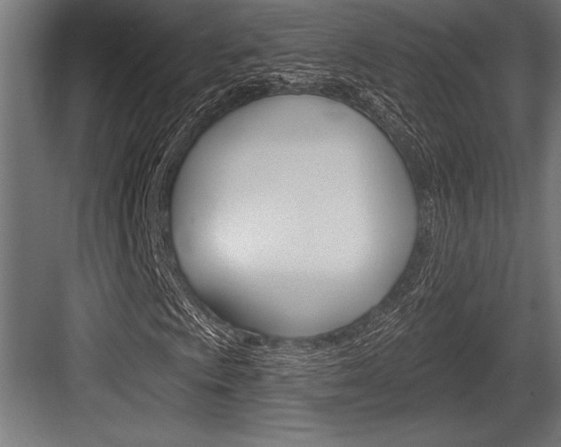 X0000083611009200702120718
