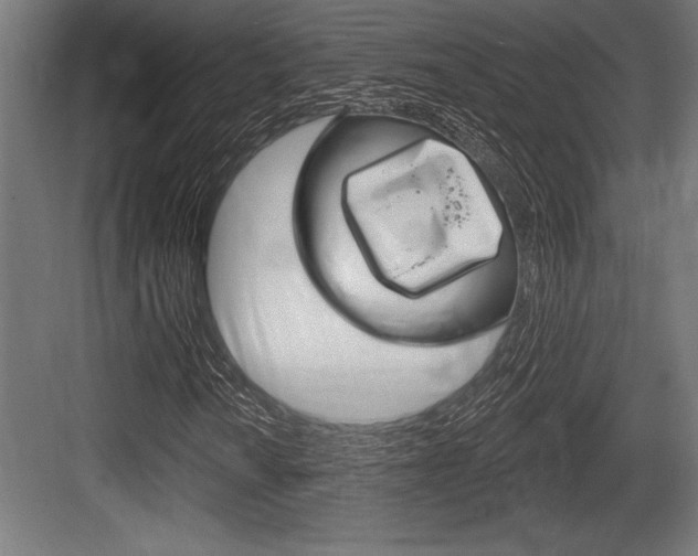 X0000083611010200702120718