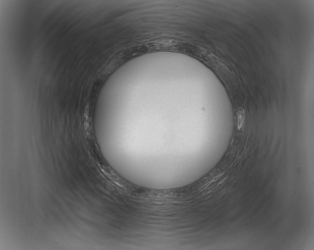 X0000083611011200702120718