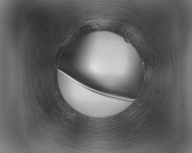X0000083611012200702120718