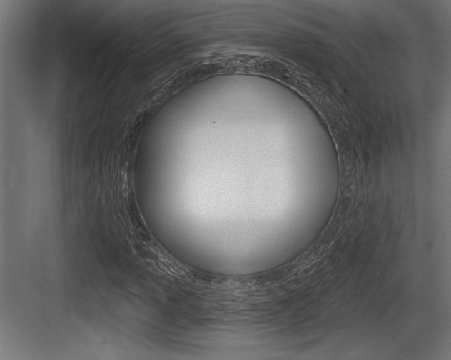 X0000083611013200702120718