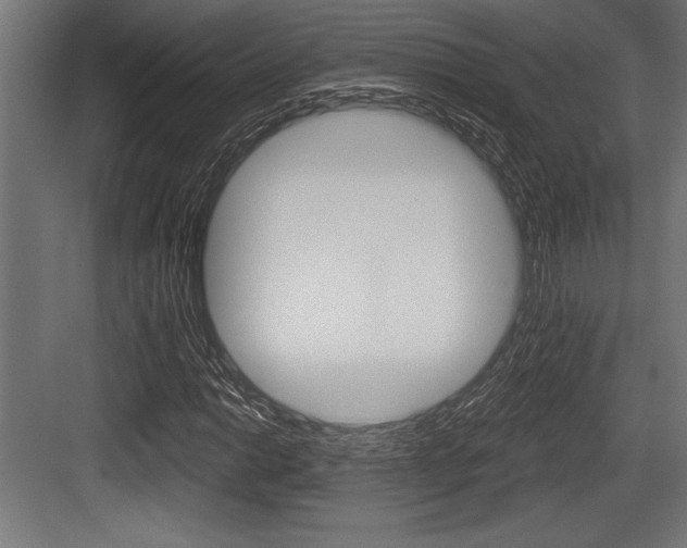 X0000083611014200702120718