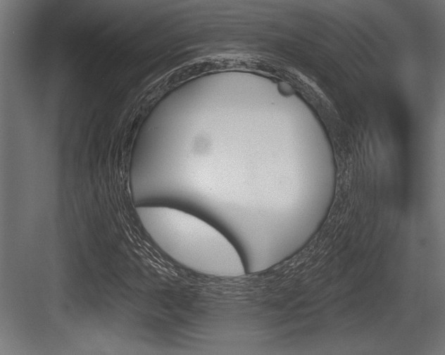 X0000083611015200702120718
