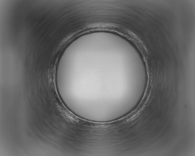 X0000083611017200702120718