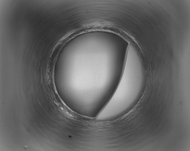 X0000083611018200702120718